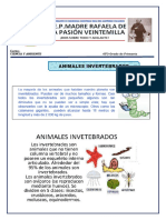 Animales Invertebrados