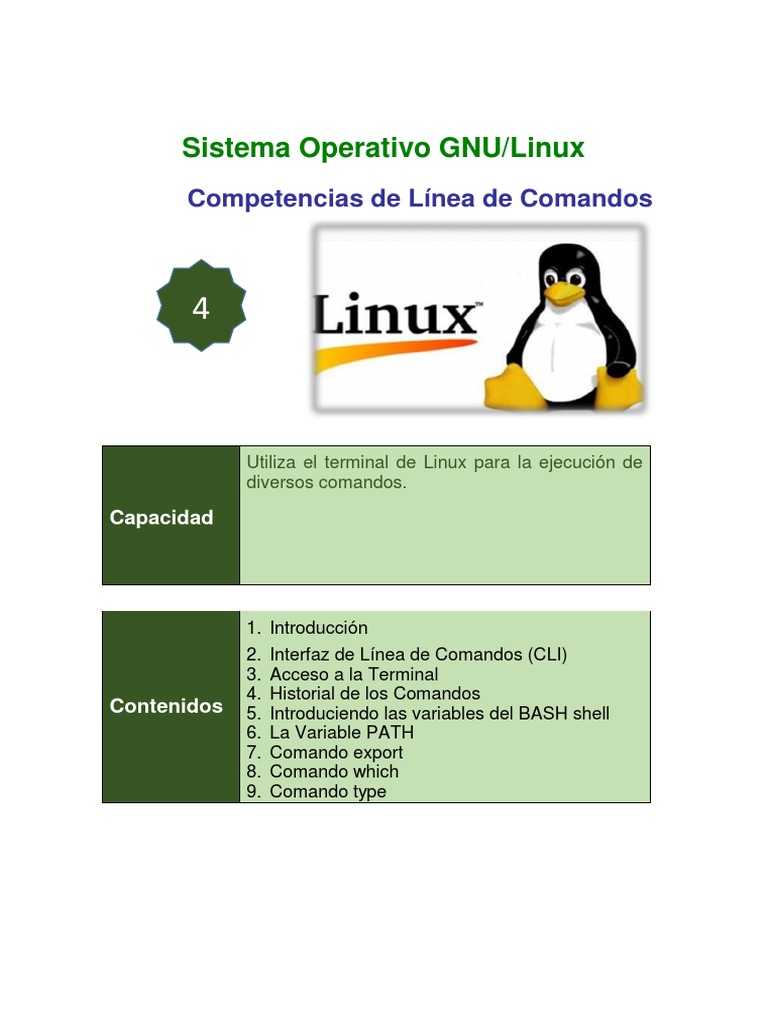 Comandos de línea de comandos básicos en Linux PDF Interfaz de