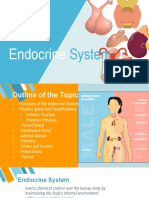 10 Endocrine System