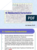 Katabolisme Karbohidrat