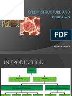 Presentation Xylem 1474039899 233796