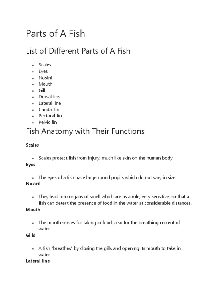 Fish Anatomy and Functions Explained | PDF