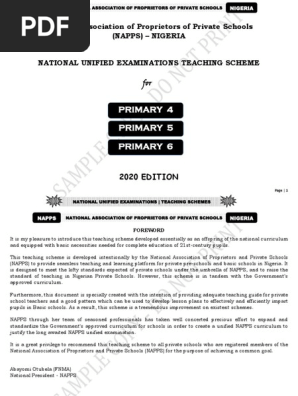 PRIMARY 4-5-6 SAMPLE NAPPS SCHEME