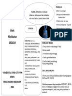 Hepatitis Akut Maulizatun