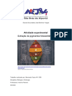 Relatório extração de pigmentos fotossintéticos