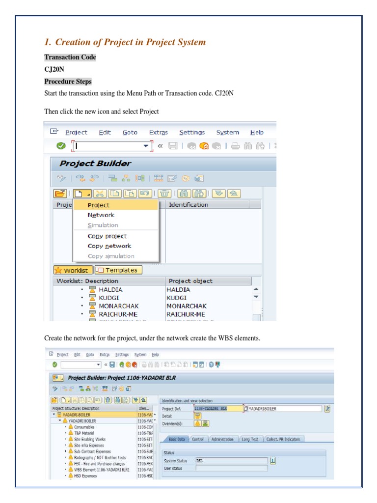 Creating WBS and Service Entry in SAP | PDF | Invoice