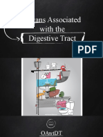 Organs Associated With The Digestive Tract