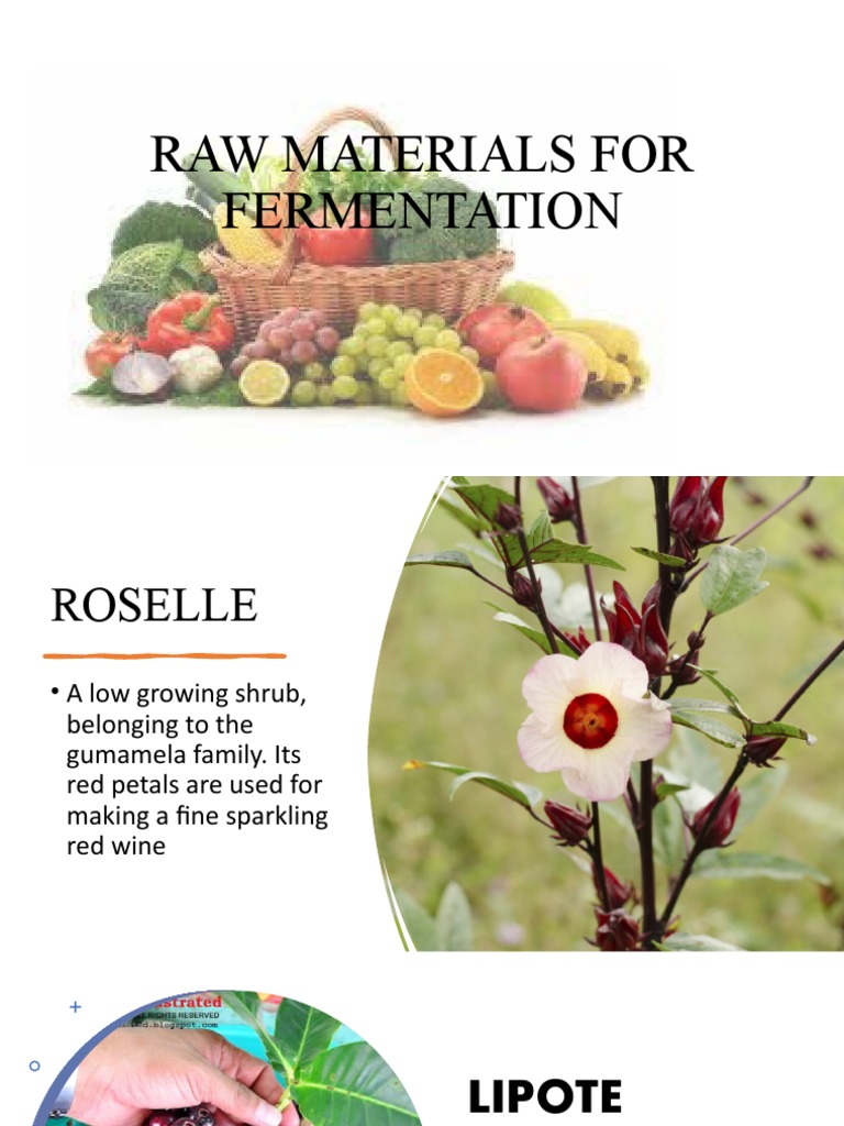 Raw Materials in Fermentation PDF Foods Fruit
