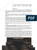 TP1 Neuro - Generalidades - Medula Espinal Nervios Espinales Tronco Encefálico Cerebelo 4to Ventrículo Nervios Craneales