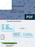 Bacillaceae Klas A