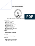 Informe Semana 4