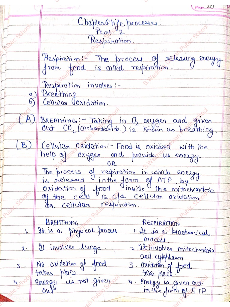 Life Processes Notes Part 2 PDF