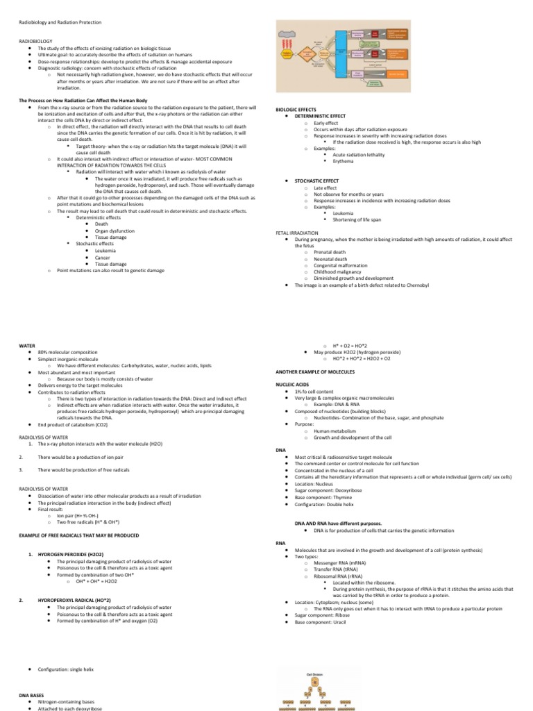 Radiobiology and Radiation Protection PDF Mitosis Ionizing Radiation