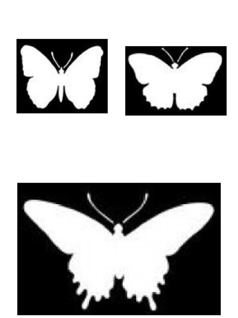 Butterfly stencil pdf