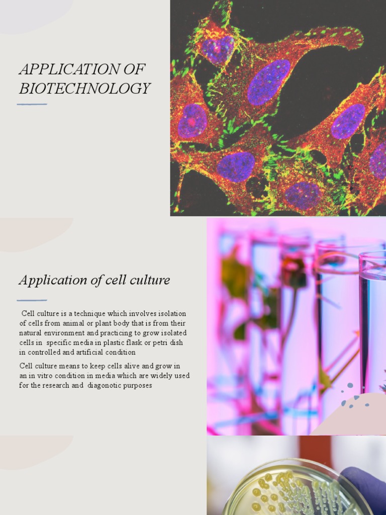 Cell Culture PDF Cell Culture Virus