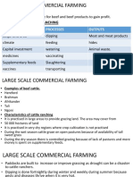 Large Scale Commercial Farming