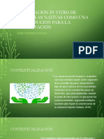 Propagación in Vitro de Orquídeas Nativas Como Una