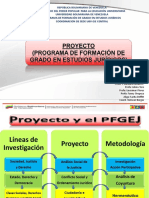 Proyecto Pfgej