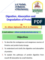 Digestion& Absorption and Degradation