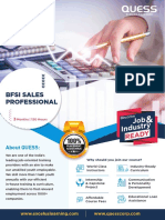 BFSI Sales Professional - V 1.1