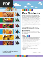 Key Nutrients