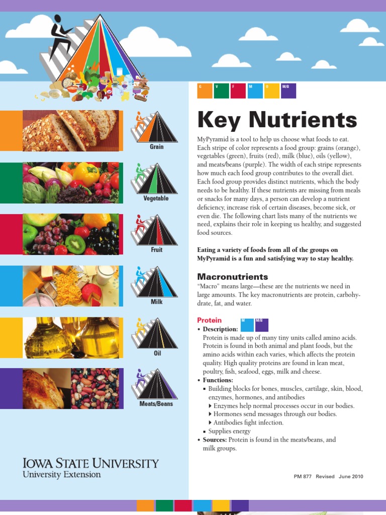 Key Nutrients in Food Groups | PDF | Wellness