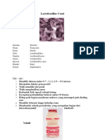 Lactobacillus Casei