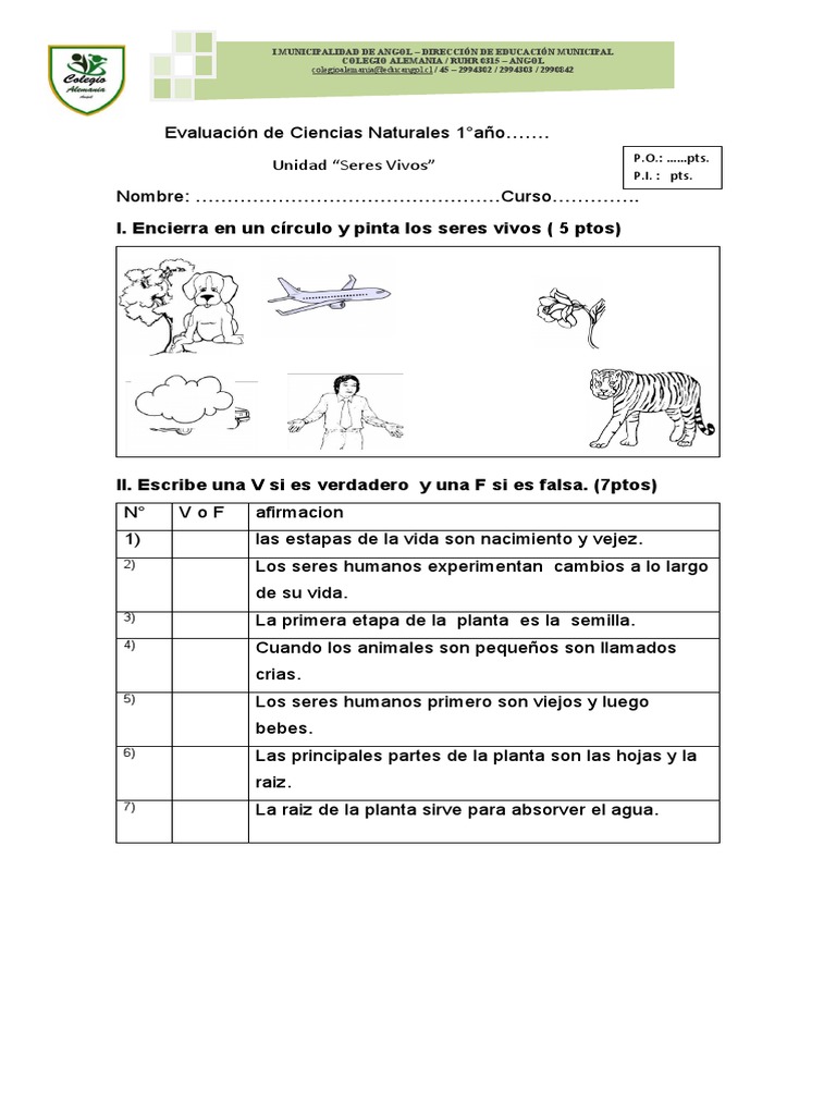 Evaluación de Seres Vivos 1° Grado | PDF | Estudios de idiomas extranjeros