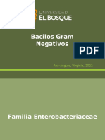 Bacilos Gram Negativos de la familia Enterobacteriaceae