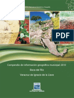 Compendio de Información Geográfica Municipal 2010: Boca Del Río Veracruz de Ignacio de La Llave