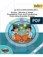 TLE6 q1 Mod4 Propagating Trees and Fruit-Bearing Trees Using Scientific Process Version3