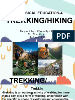 P.e4 Report - Trekkinghiking