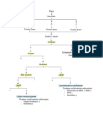 Flujograma para Diferenciar Bacilos Gram Positivos