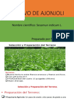 Cultivo de ajonjolí: Control natural de plagas y malezas