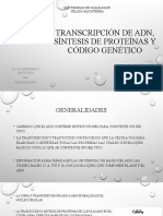 Transcripción de Adn, Síntesis de Proteínas