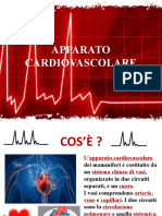 Apparato Cardiovascolare