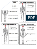 Sistema Nervioso