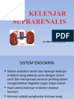 12-Kelenjar Adrenal-Suprarenalis