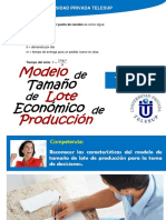 IE-3 Modelo de Tamaño Lote Economico de Producción