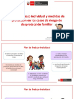 Plan de Trabajo Individual y Las Medidas de Protección