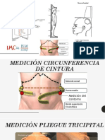 Pliegues antropometricos fisio