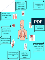 Mapa Conceptual Del Sistema Respiratorio