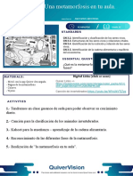 QV Activity Plan_Una Metamorfosis en Tu Aula