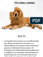 Hepatitis Viral Canina