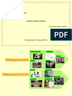 Organizador Grafico Problemas Sociales y Culturales