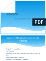 HONGOS