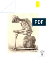 Anatomia I: Terminologia Anatómica Essencial