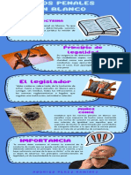 Infografia Tipos Penales en Blanco