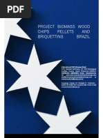 Download Project Biomass Wood Brazil by mar4478 SN6001793 doc pdf