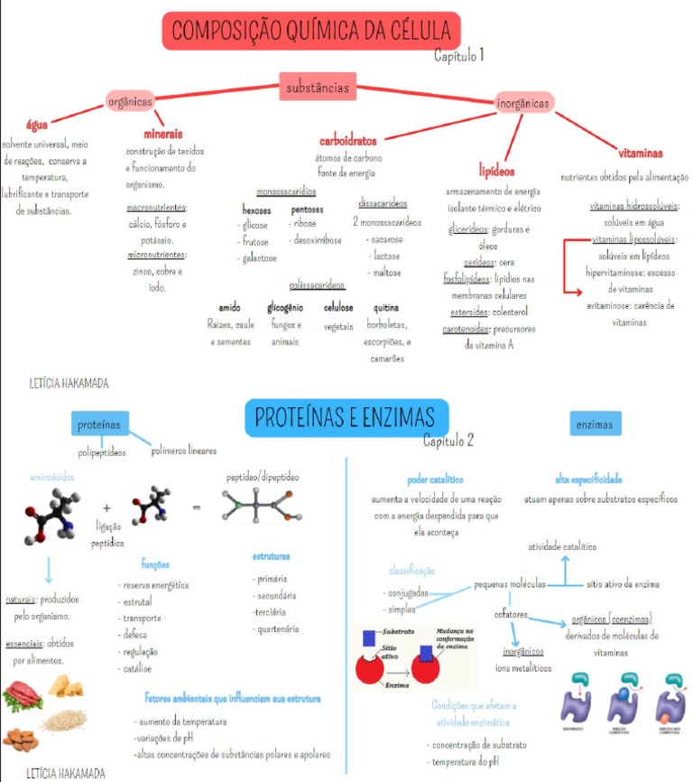 Mapa Mental - Composição Química Da Célula, Proteinas e Enzimas | PDF